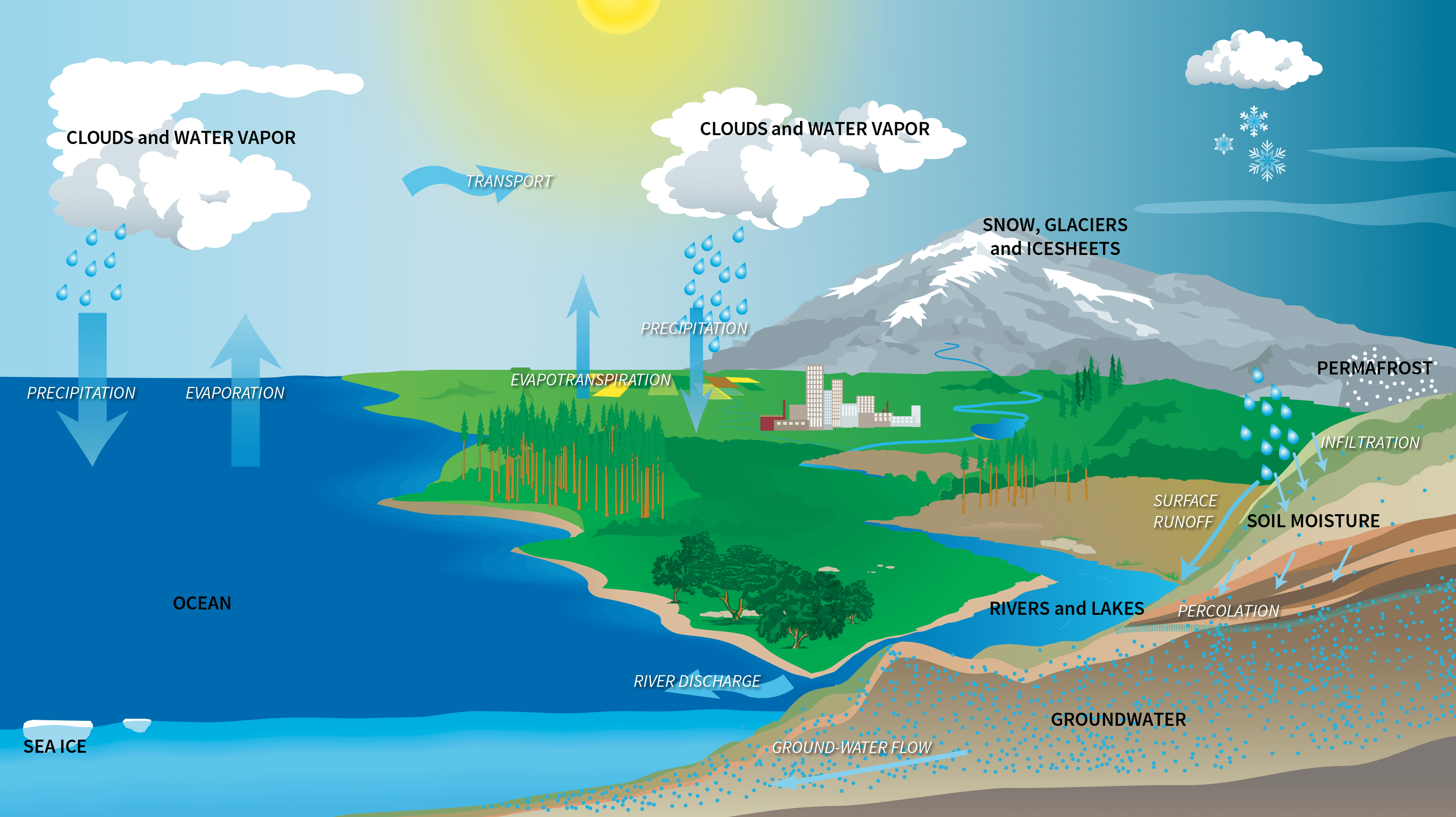 The Water Cycle